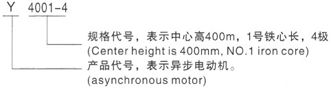 西安泰富西玛Y系列(H355-1000)高压YJTG-315S-2A/110KW三相异步电机型号说明