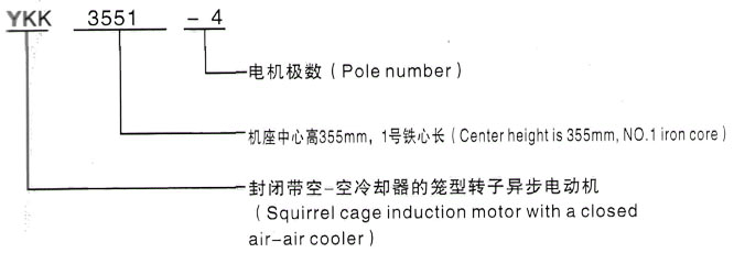 YKK系列(H355-1000)高压YJTG-315S-2A/110KW三相异步电机西安泰富西玛电机型号说明