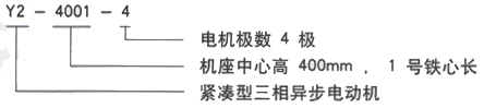 YR系列(H355-1000)高压YJTG-315S-2A/110KW三相异步电机西安西玛电机型号说明